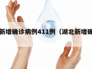 湖北新增确诊病例411例（湖北新增确诊一例）