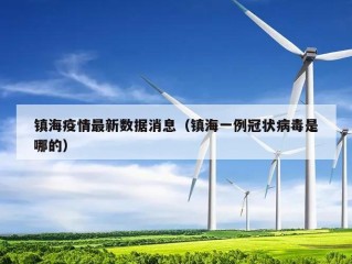 镇海疫情最新数据消息（镇海一例冠状病毒是哪的）