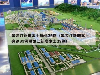 黑龙江新增本土确诊35例（黑龙江新增本土确诊35例黑龙江新增本土29例）
