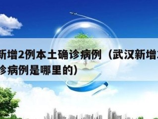 武汉新增2例本土确诊病例（武汉新增2例本土确诊病例是哪里的）