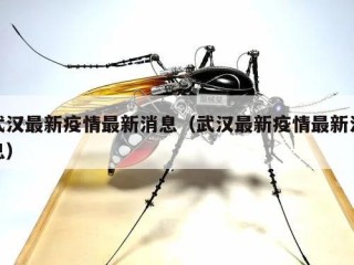 武汉最新疫情最新消息（武汉最新疫情最新消息）